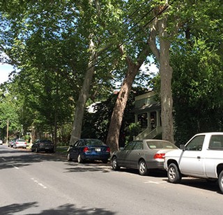 Park Smart in Downtown Chico