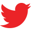 Image of Eracer icon twitter