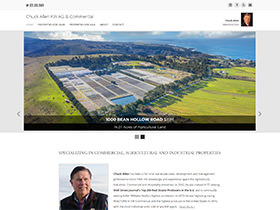 Chuck Allen KW AG & Commercial