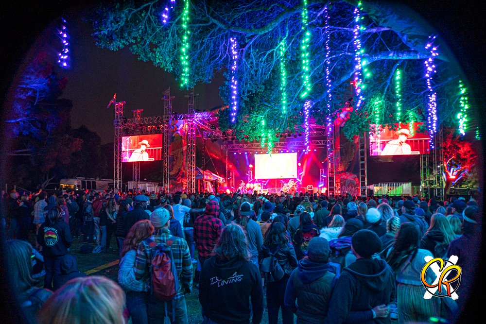 Image of CRX lights Harper