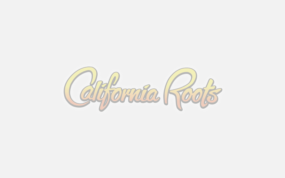 Image about California Roots Music and Arts - Day Four