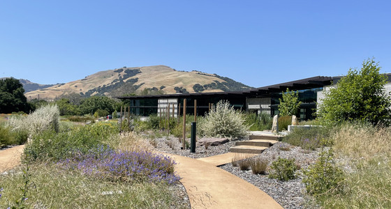 Image of 100a