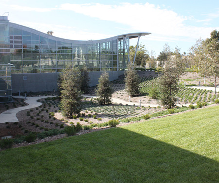 Image of 43 2