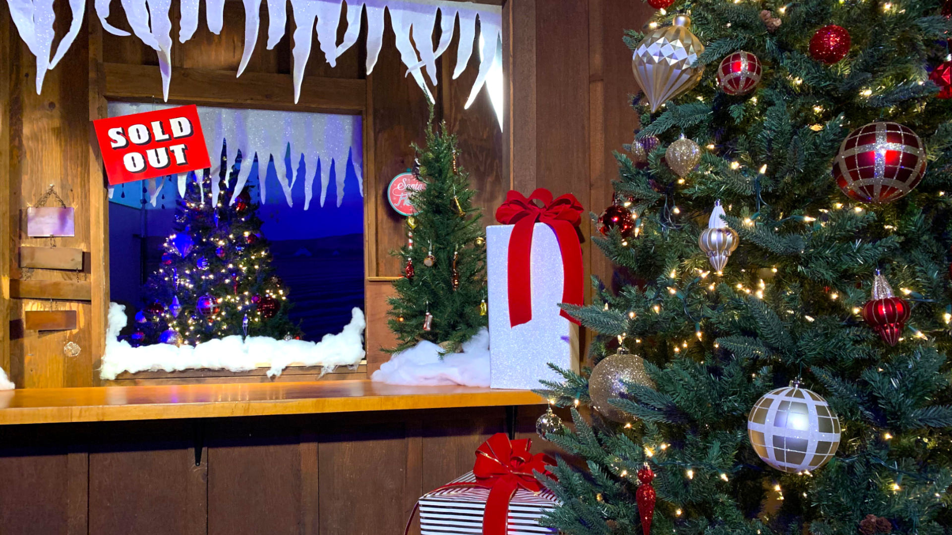 Image of MSO Holidayzoombackground3